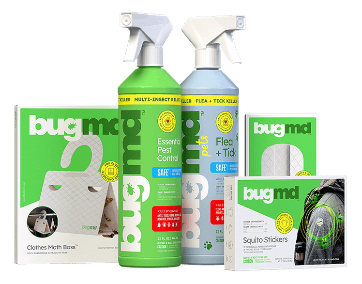 Reclaim Your Pest-Free Home