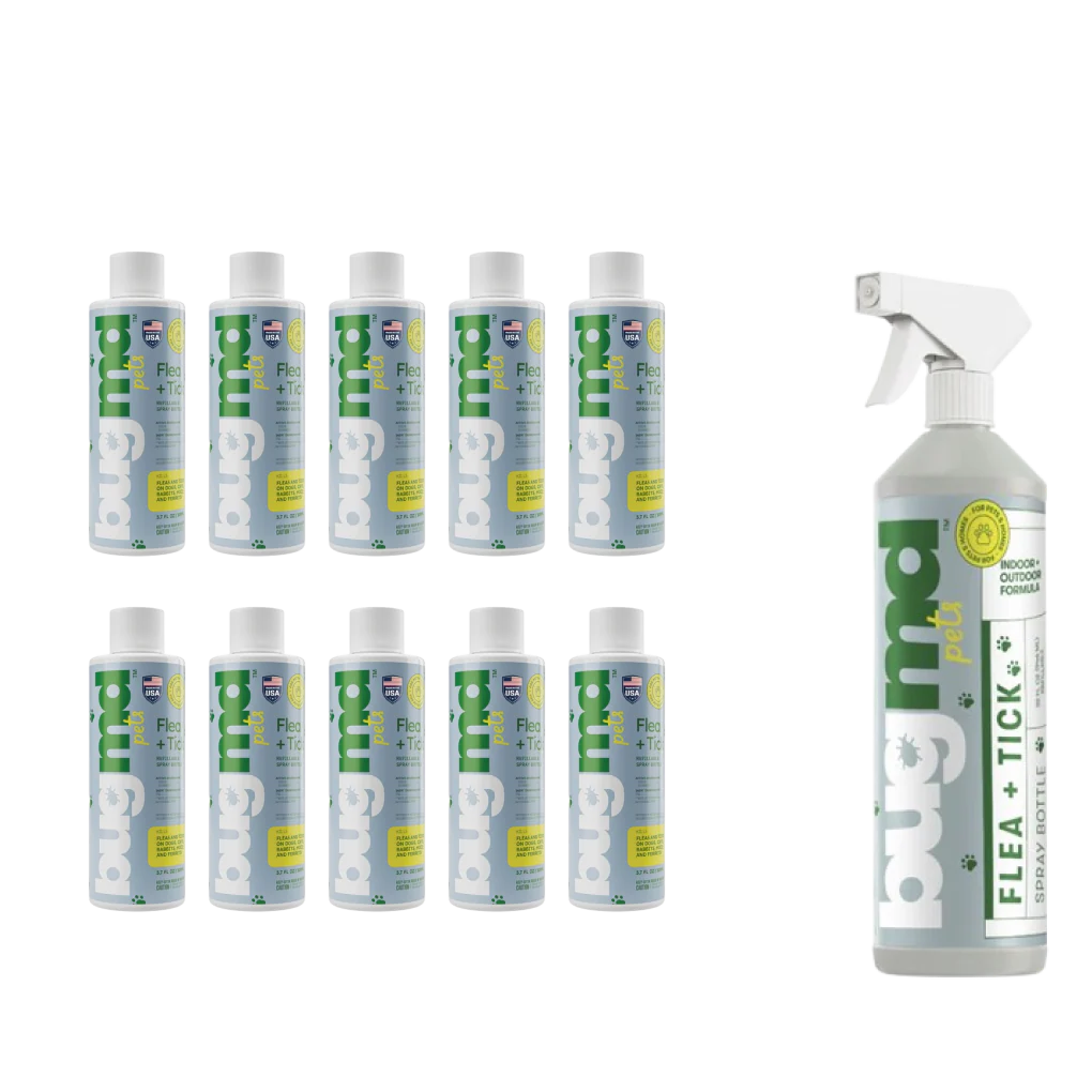 68% OFF: 10 Concentrates + Free Spray Bottle