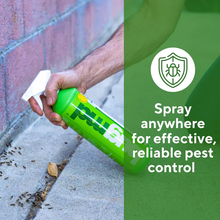 Buy 3 Essential Pest Concentrate, Get 3 FREE - Image 3