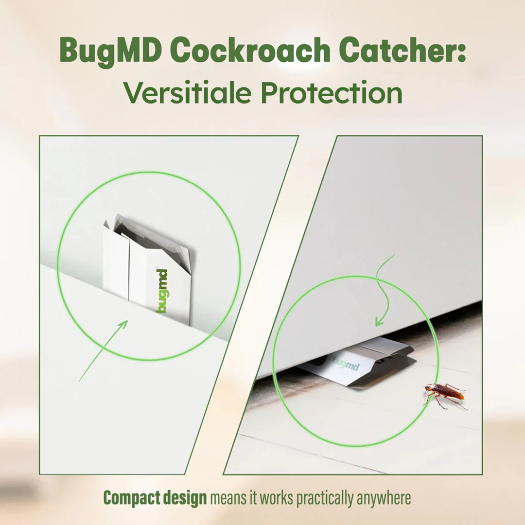 Cockroach Catcher - Image 6