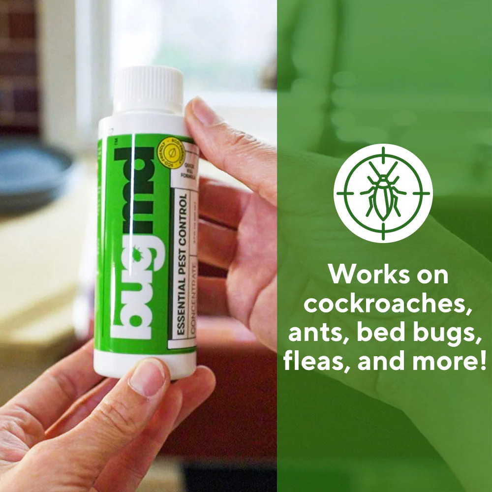 F1Copy of Essential Pest Concentrate - Image 5