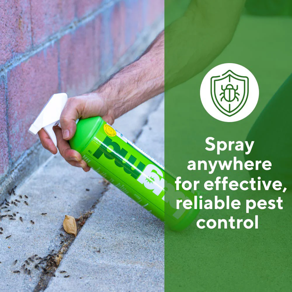 Essential Pest Concentrate – Powered by Clove Oil & Cottonseed Oil - Image 3