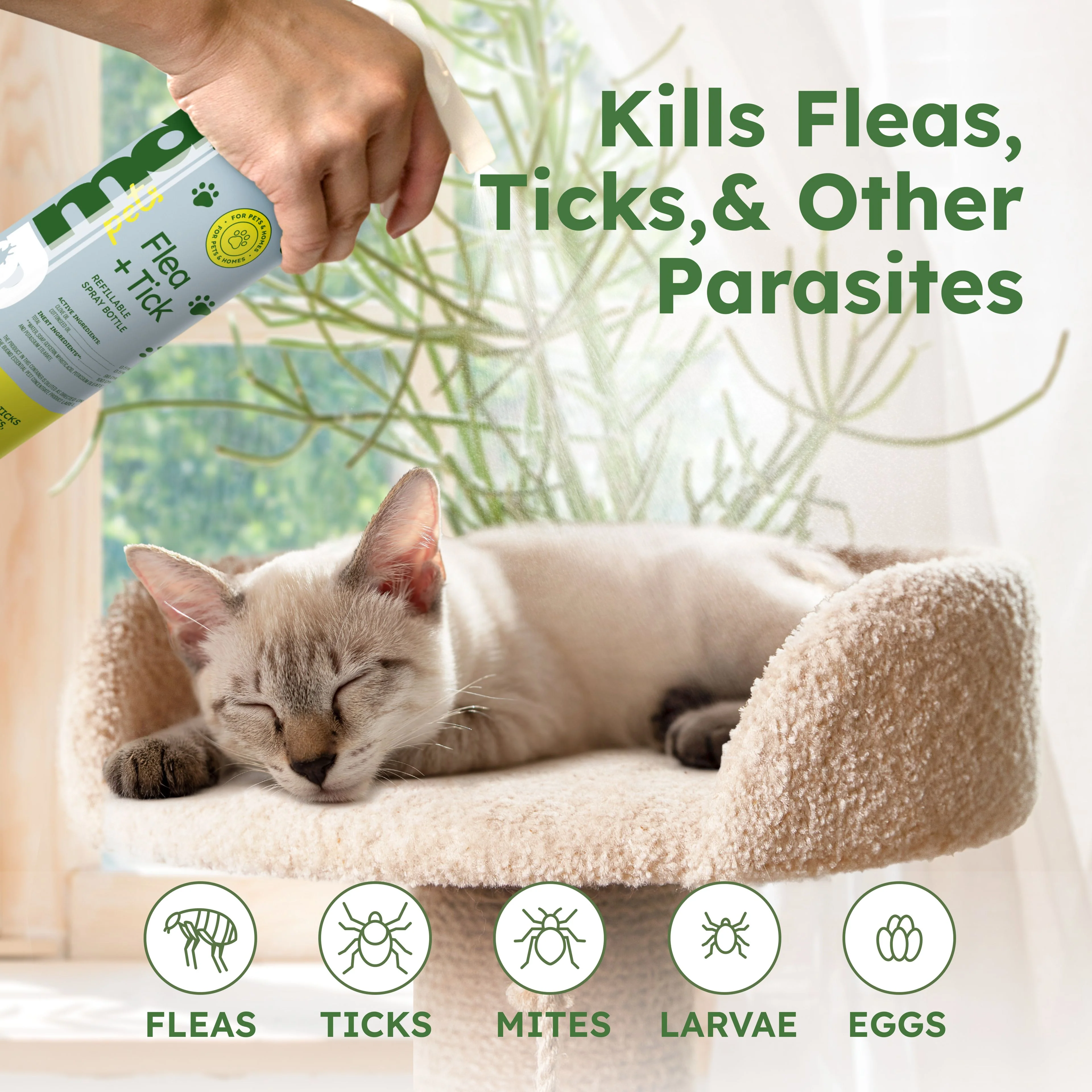 Flea and Tick Concentrate GM - Image 3