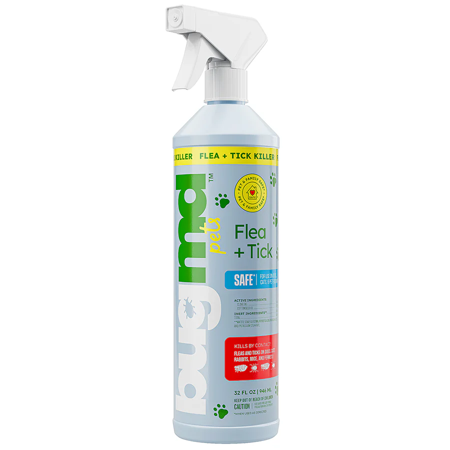 Spray Bottle