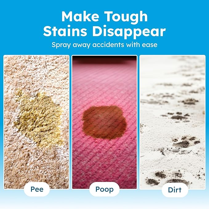 Stain and Odor Eliminator - Image 7
