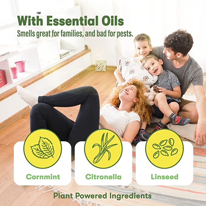 BugMD Exclusive Winter Stock Up Bundle - Image 3